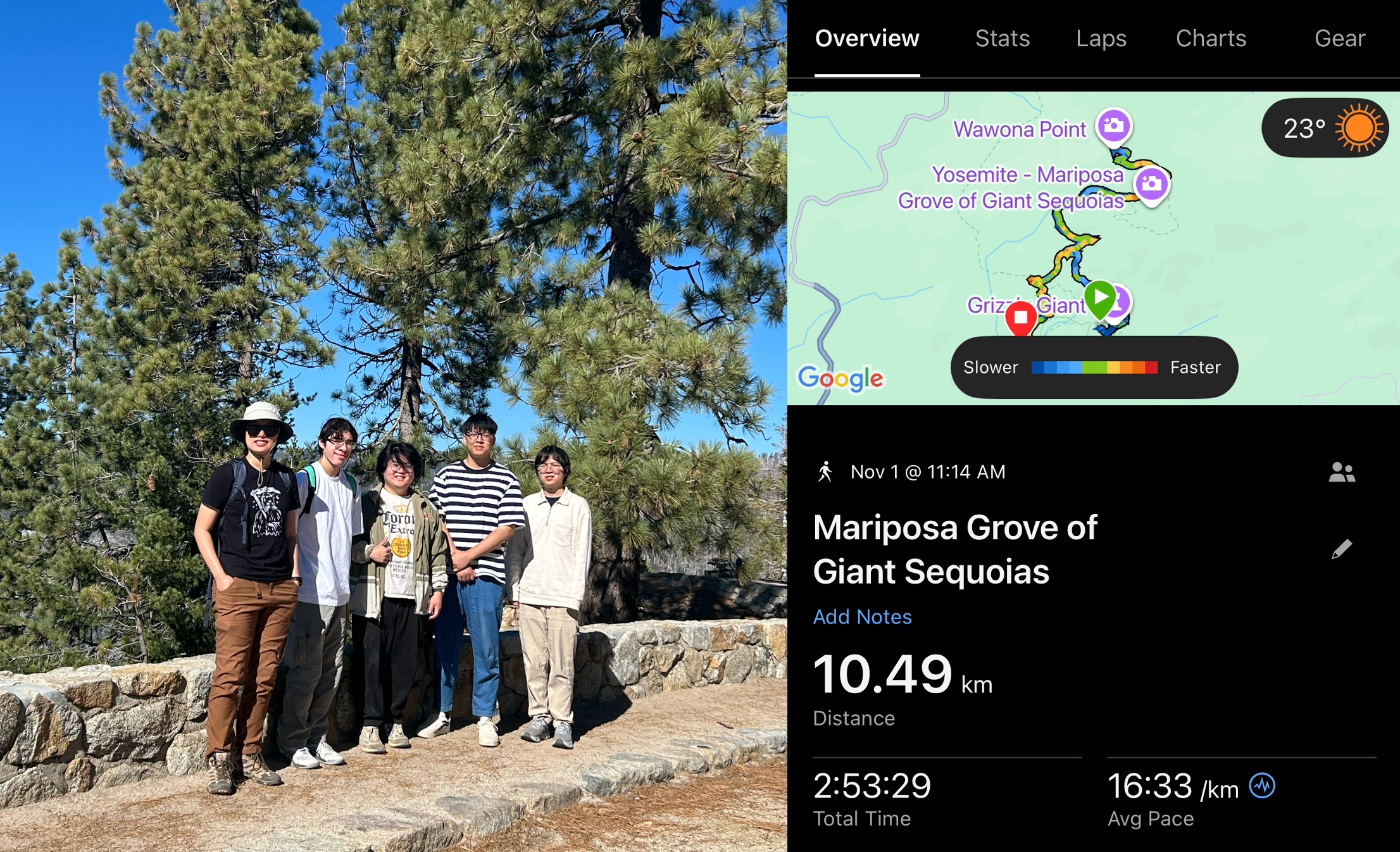 Group photo from the Fall 2025 hike at Mariposa Grove